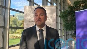 Northern Ireland Protocol a &lsquo;little too strict&rsquo;, Ireland&rsquo;s deputy PM says