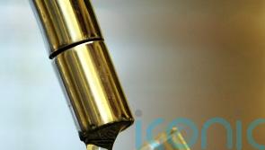 Irish Water too slow at replacing lead pipes &ndash; EPA