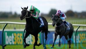 Pogo is Breeders&rsquo; Cup-bound after rising to Newmarket challenge