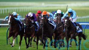 Rumstar keeps Portman&rsquo;s perfect Cornwallis record intact