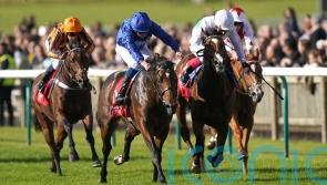 Silver Knott maintains Godolphin&rsquo;s grip on Autumn Stakes