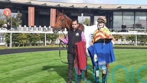 Sheehy shines on Lumiere Rock