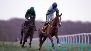 Morrison eyeing Constitution clash for Not So Sleepy