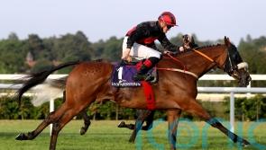 Cheltenham Run on Peregrine&rsquo;s radar