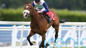 Balding admits to Coltrane fear ahead of Ascot run