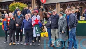Darver Star books Fairyhouse clash with Honeysuckle
