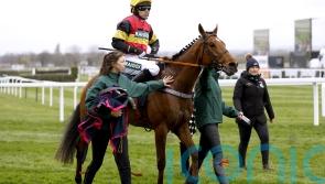 Knight Salute on course for Cheltenham return on Saturday week