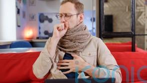 GUIDE:  How to give your immune system a helping hand this winter