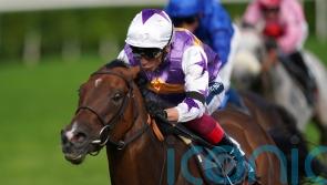 In-form Kinross seeking champion sprint honours at Ascot