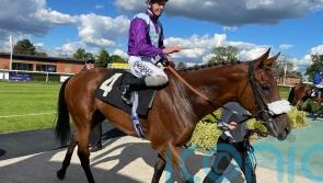 Stormbuster set to take Vertem Futurity challenge