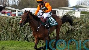 Noble Yeats none the worse following Auteuil disappointment