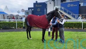 O&rsquo;Brien has Derby favourite Auguste Rodin pencilled in for Doncaster