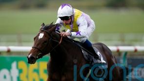 Lezoo team have high hopes for next year with classy filly