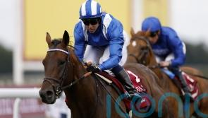 Baaeed&rsquo;s younger sibling to be out this year