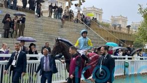 Fabre sights set on Classic campaign for Belbek