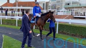 Military Order in Derby picture after upholding family honour at Newmarket