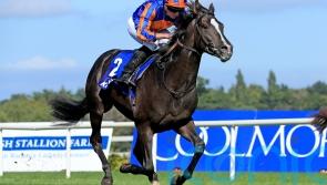 Auguste Rodin tops Futurity Trophy field for O&rsquo;Brien