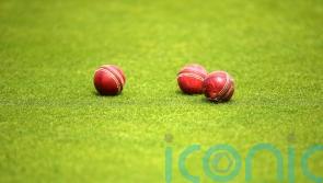 ECB urged to conduct in-depth review of historic abuse within cricket