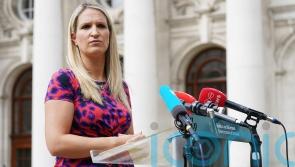 For too long we have accepted &lsquo;stark&rsquo; domestic violence figures &ndash; McEntee