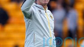 Interim boss Steve Davis will lead Wolves for the remainder of the year