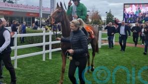 Brian Hayes hits Cheltenham target with Dads Lad