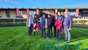 Emily Dickinson opens up exciting staying options for next year