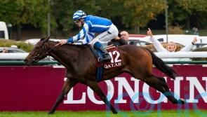 Blue Rose Cen poised to put Head name in lights again at the Breeders&rsquo; Cup