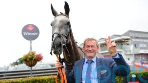 We&rsquo;ve had three wonderful years with her &ndash; Tony Mullins pays tribute to Princess Zoe