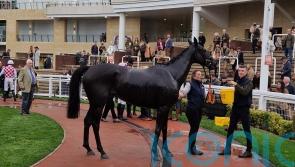 Murphy plotting swift hurdles switch for Strong Leader