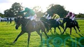 Wetherby specialist Good Boy Bobby looks set to miss Charlie Hall