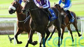 High Definition joins Joseph O&rsquo;Brien to go hurdling