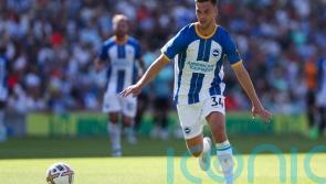 Brighton wait on Joel Veltman ahead of Chelsea clash