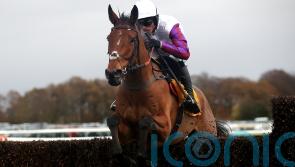 Dance looking to Bravemansgame to deliver King George dream