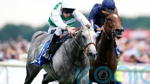 Alpinista still training towards Japan Cup swansong
