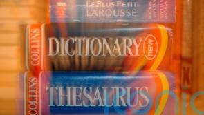 &lsquo;Permacrisis&rsquo;: The Collins Dictionary Words of the Year for 2022 have been revealed 