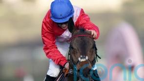 A Plus Tard stars in six entries for Betfair Chase