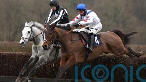 Joe Tizzard hoping to make more memories in Haldon Gold Cup