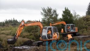 Search of bog for 1975 IRA victim Columba McVeigh is paused for winter