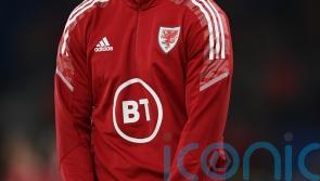 Mark Hudson hopes Cardiff match-winner Mark Harris gets Wales World Cup call