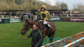 Callaghan earns Cork plaudits after Captain Kangaroo success