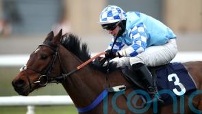 Nick Kent has Haydock in mind for promising Erne River