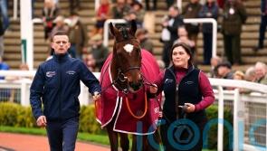 Hall of Fame inductee Tiger Roll enjoys lap of honour at Cheltenham
