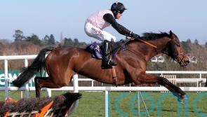 Mouse Morris hoping for power-packed display from French Dynamite