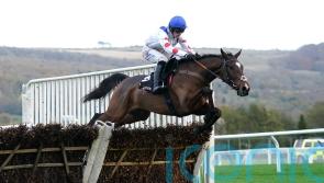 Hermes Allen blows away Ballymore field at Cheltenham