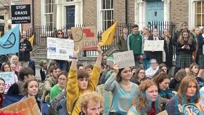 Students accuse government of inaction on climate change at Dail protest