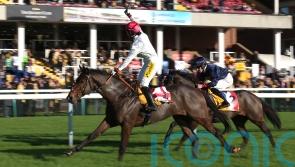 Victory for England in Haydock&rsquo;s World Cup race
