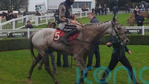 Martello Sky taking three-mile test at Kempton