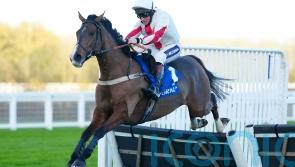 Goshen in top form after hugely popular Ascot success