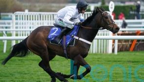 Fighting Fifth still in the mix for Constitution Hill