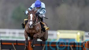 Not So Sleepy ready to take on Henderson big guns at Newcastle